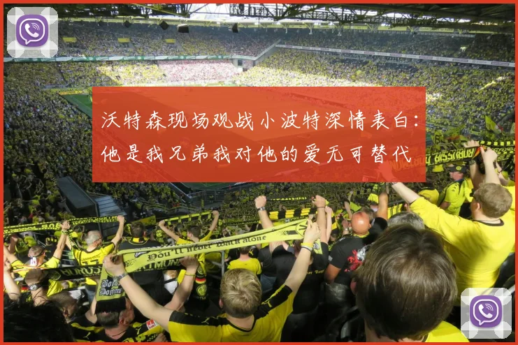 沃特森现场观战小波特深情表白：他是我兄弟我对他的爱无可替代